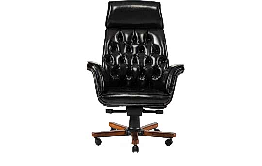 baron müdür koltuk