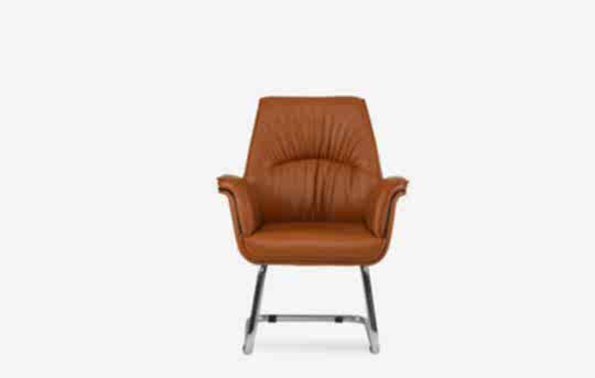 baron misafir koltuk